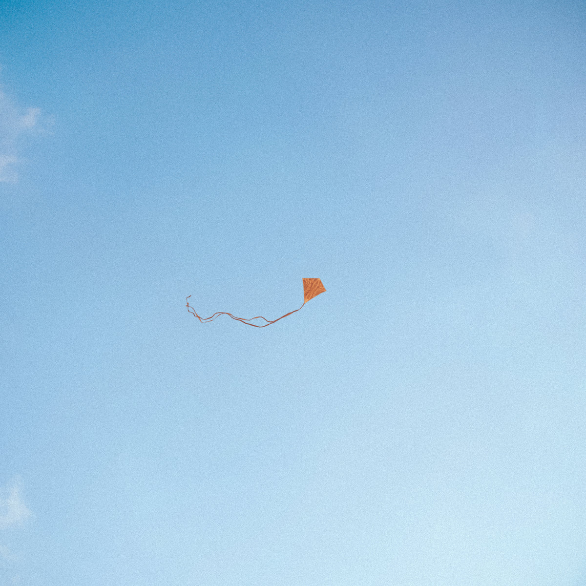 Signed ' Lost, Found & Forgotten' - Chris Stussy
